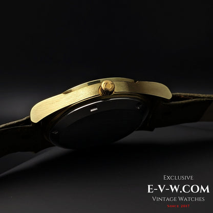 53 Years Old Vintage Omega Automatic Geneve / Ref. 1660169 / Cal. 1022 / Vintage 1972