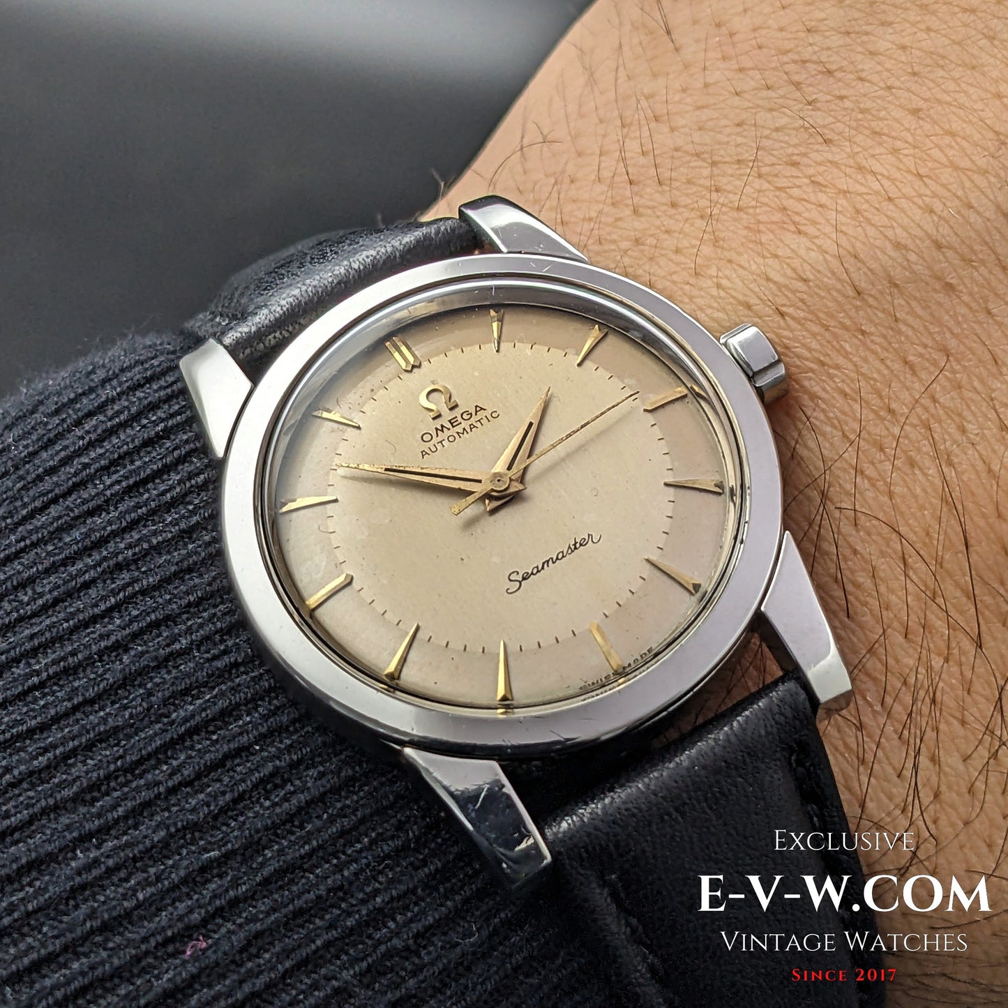 Omega Seamaster Bumper Automatique Vintage 70 ans, réf. 2577 / Cal. 354, millésime 1954