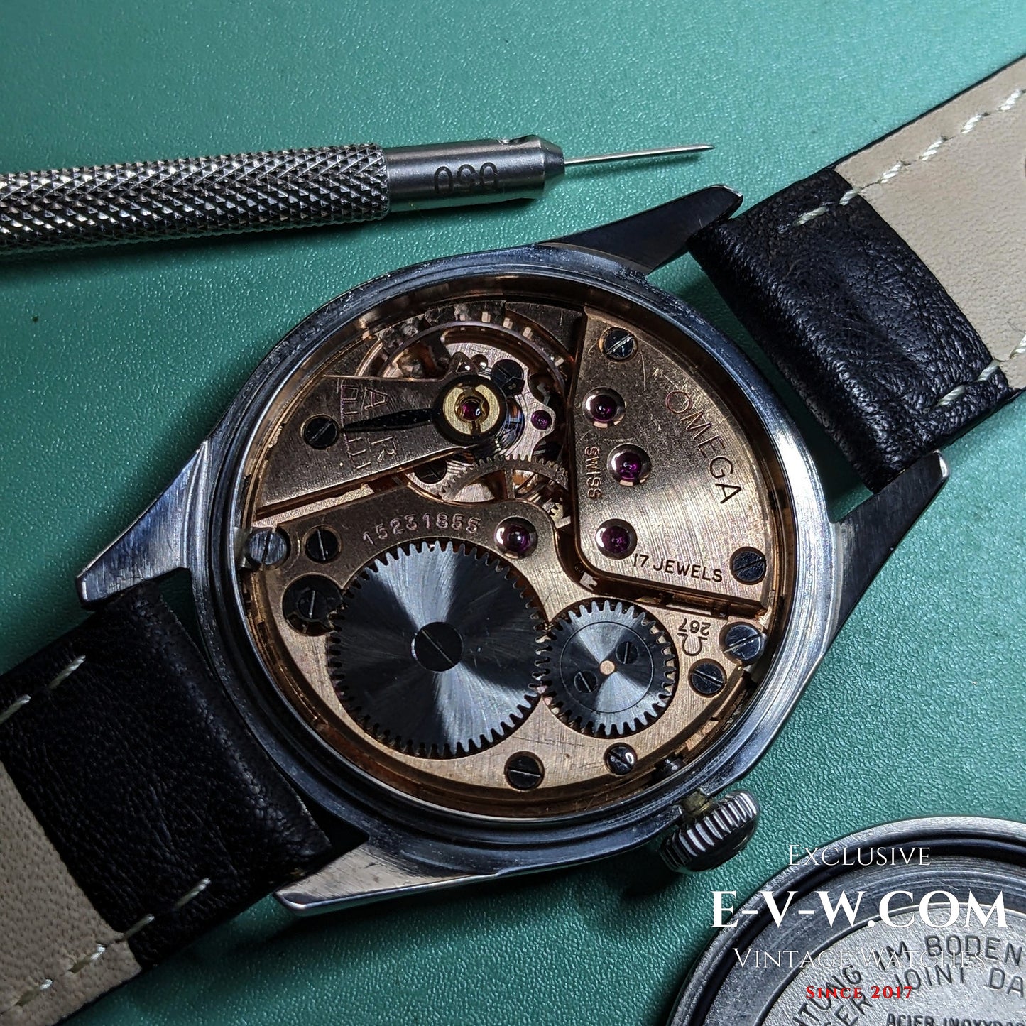 Omega Bullseye de 69 ans | Réf. 2891-1 | Cal. 267 | Millésime 1956 | Révisée