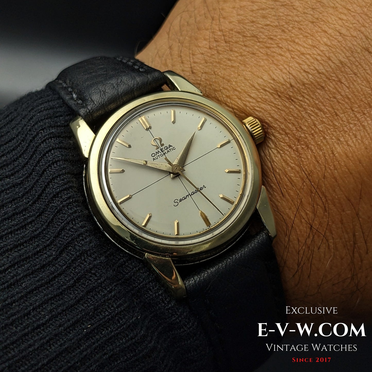 Omega Seamaster 2828-9SC Cal. 471 worn on wrist, showcasing its vintage gold-tone case and elegant cream dial with gold markers.