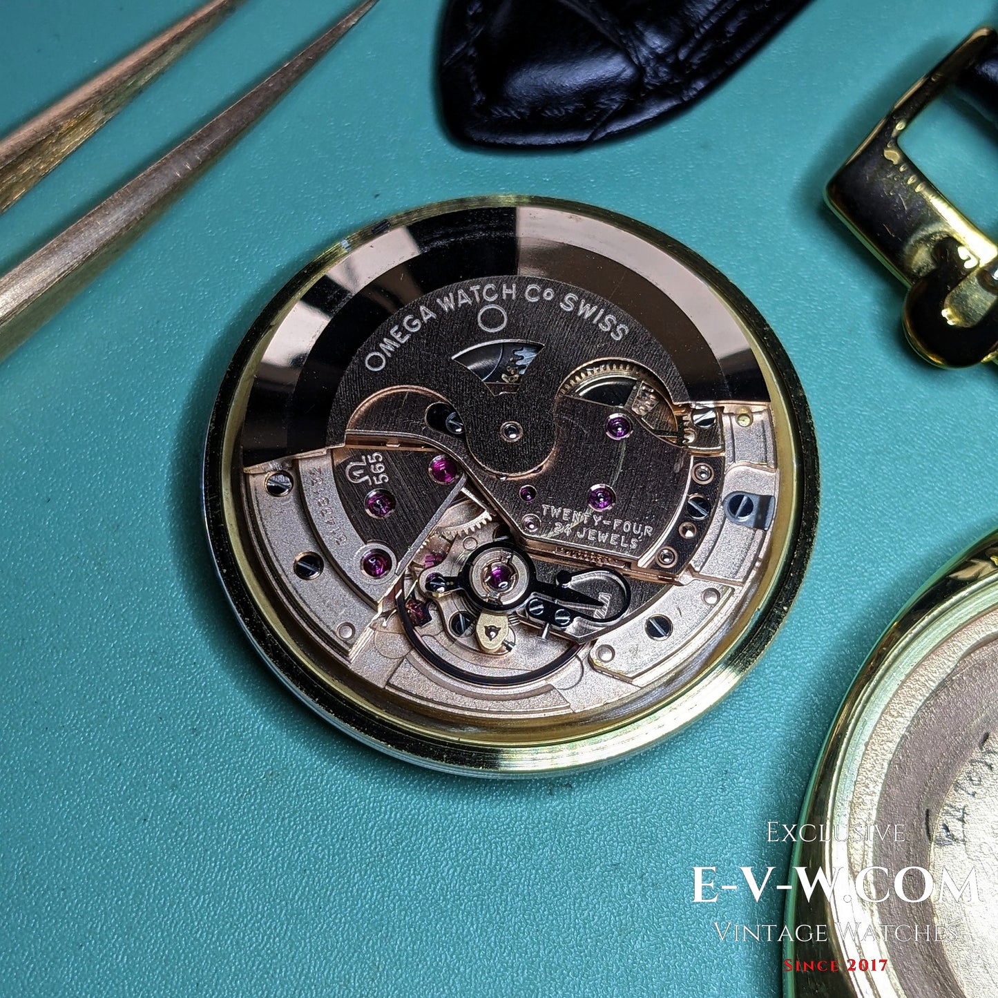 Omega Seamaster COSMIC Automatique | Réf. 166026 | Cal. 565 | Année 1970 | Révisée