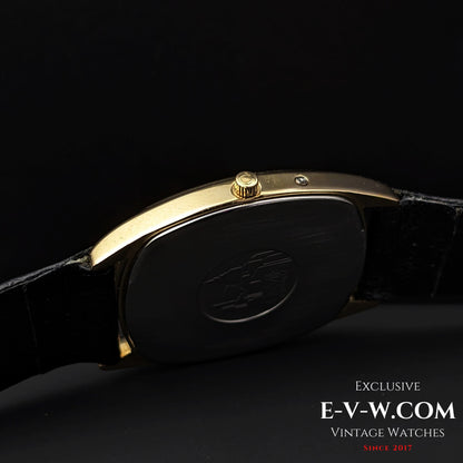 44 Years Old Vintage Omega De Ville Ref. 1690207 / Cal. 1332 / Vintage 1979