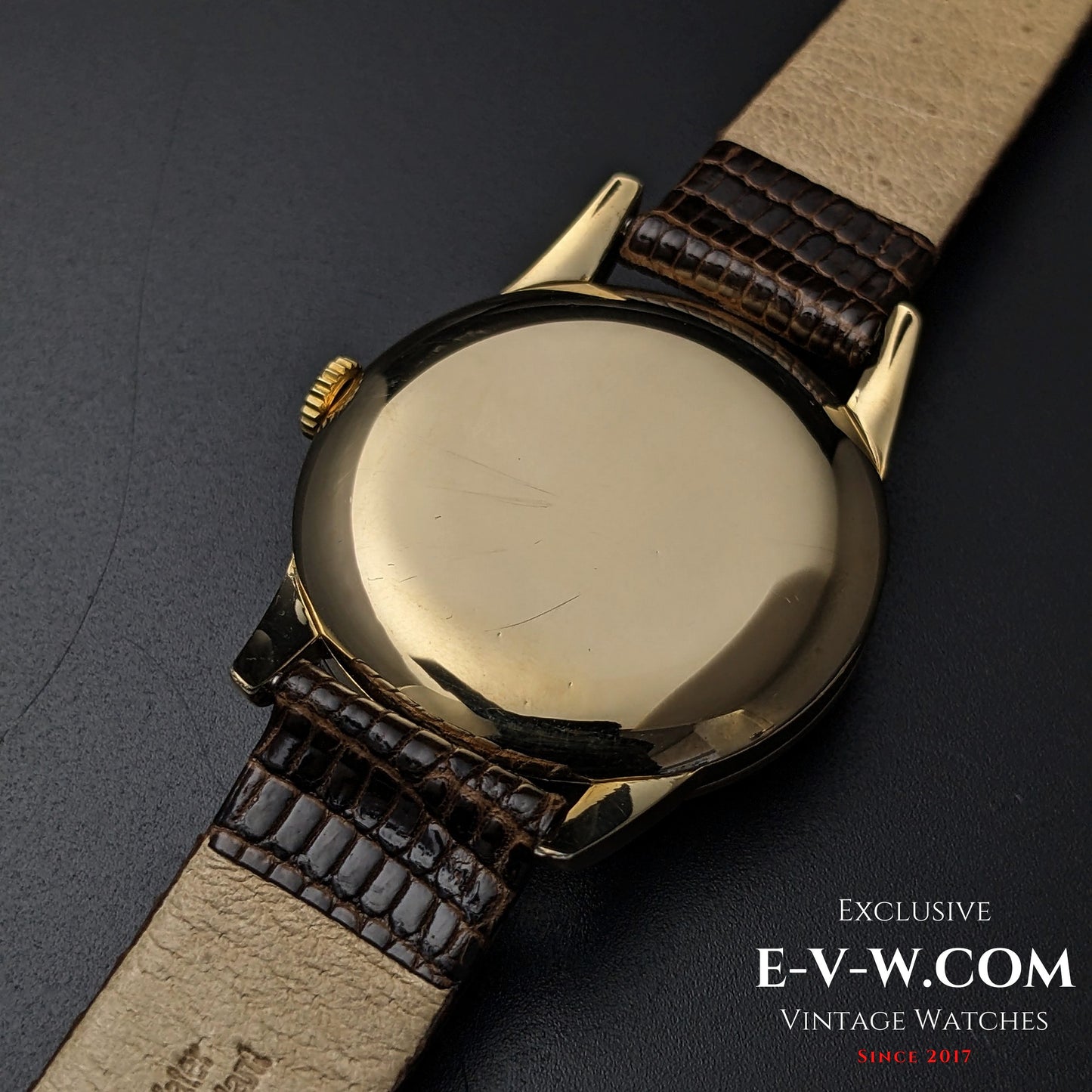Back view of the Vintage Omega Classic Gold Plaque watch, showing its polished gold case and brown leather strap from 1952.
