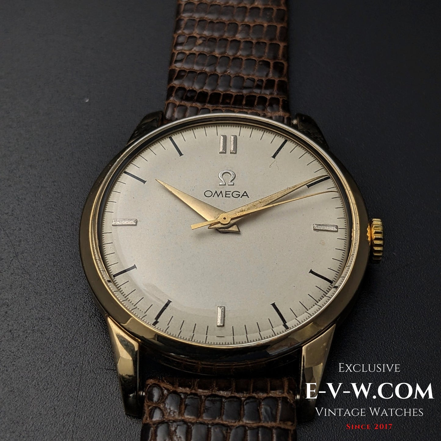 Close-up of the Omega Classic Gold Plaque watch, highlighting its gold hands, vintage dial, and brown leather strap from 1952.