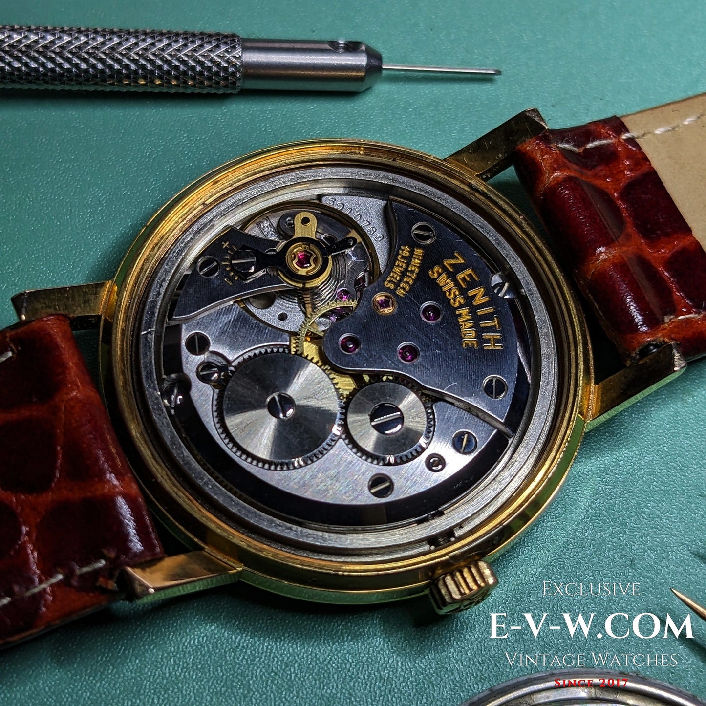 Années 1960 — Zenith Stellina (« petite étoile ») 220 S | Réf. 339A486 | Cal. 2531 | Révisée 