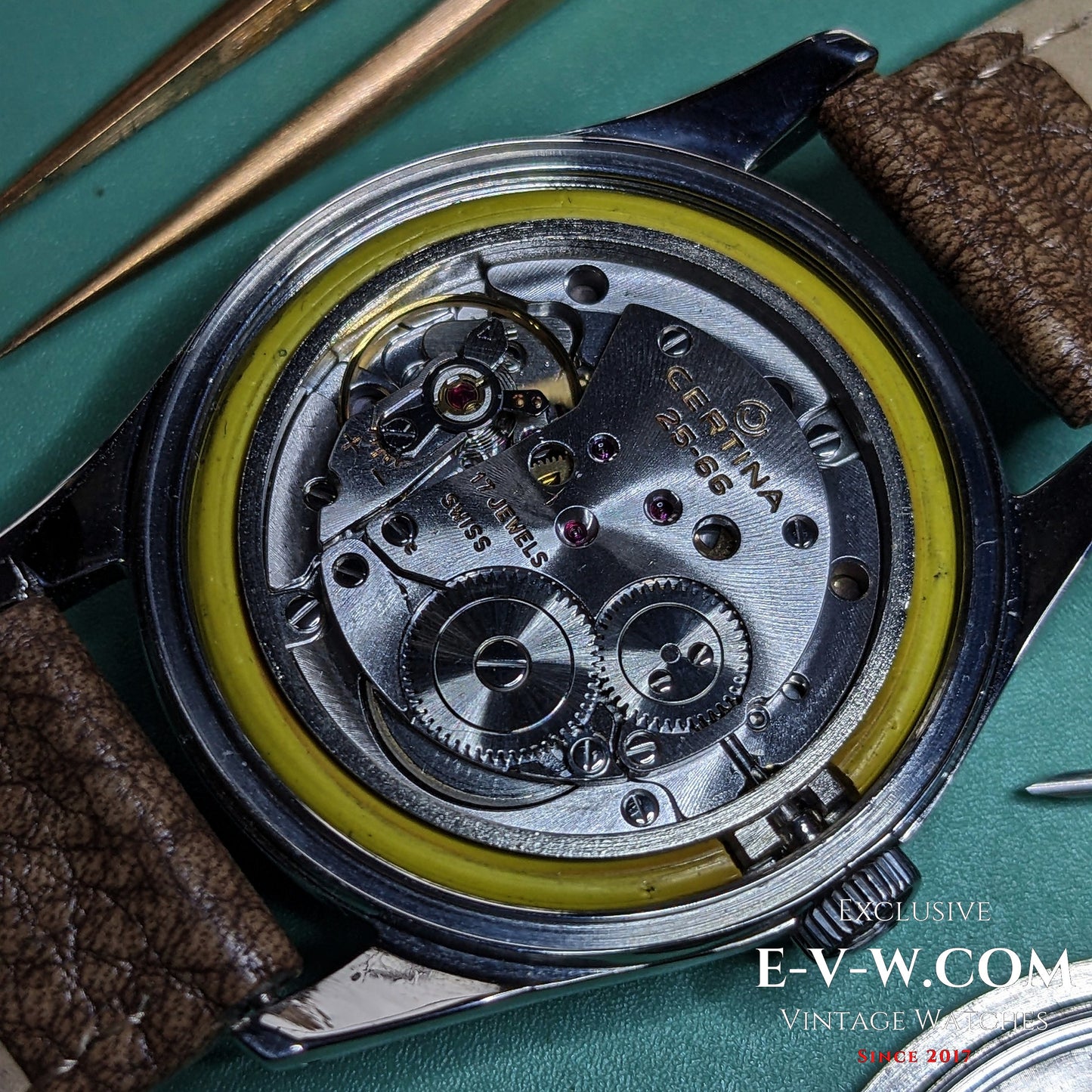 Certina DS début des années 1960 | Réf. 346.825 | Cal. 25-66 | Années 1960 | Révisée