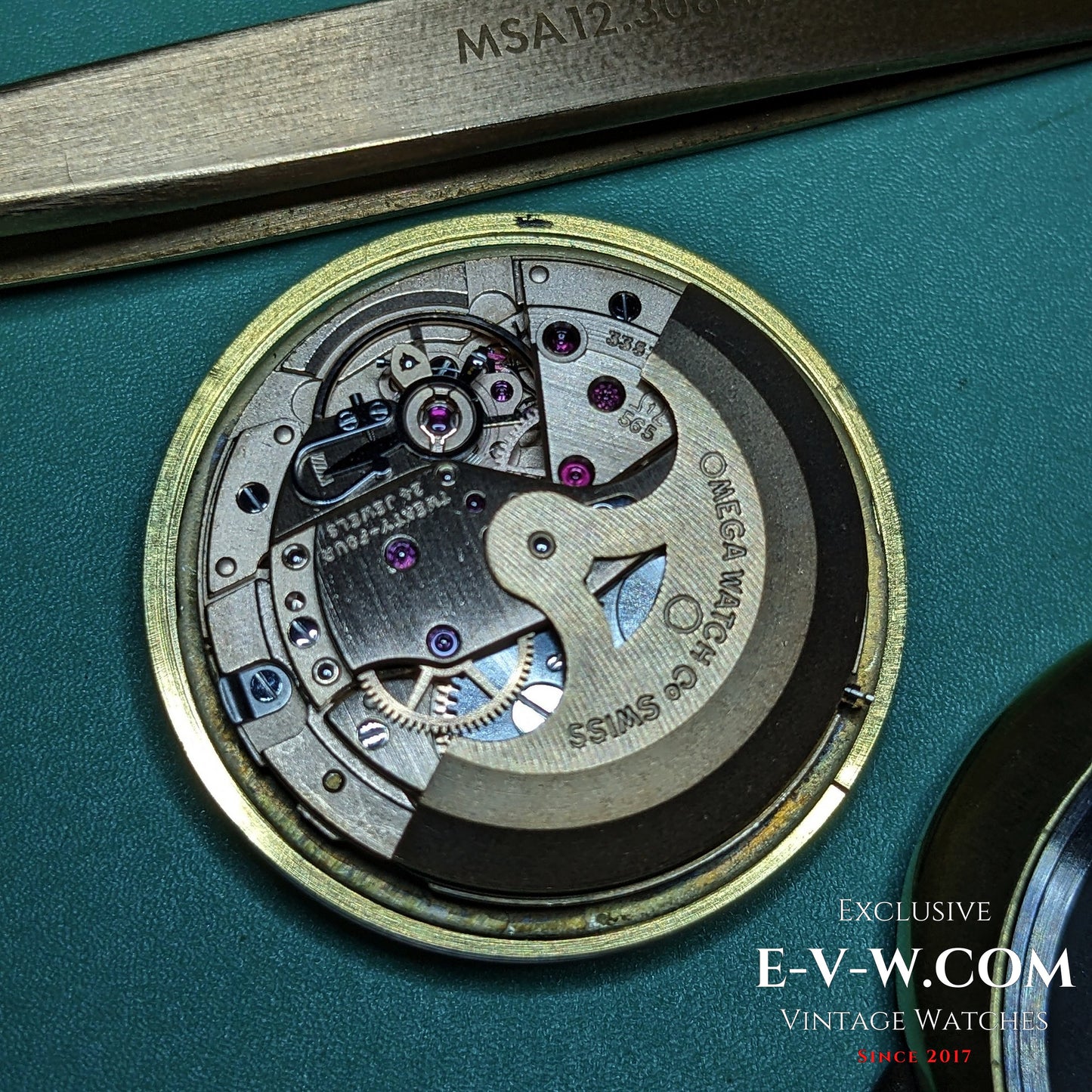 Omega Genève Dynamic de 54 ans | Réf. 166.039 | Cal. 565 | Millésime 1971 | Révisée